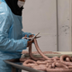 Illustration for article titled The U.S. Government Has Abandoned Meatpacking Workers